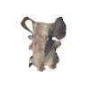 FANTE